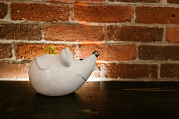 Stratégies d'achat de biens immobiliers pour les jeunes